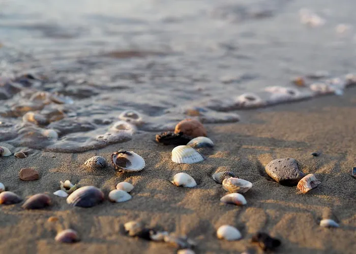 Tastefully Furnished Flat With Lateral Sea View Apartament Bibione